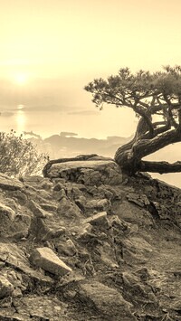 Szary + Sepia
