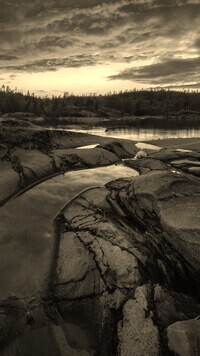 Sepia