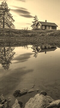 Szary + Sepia