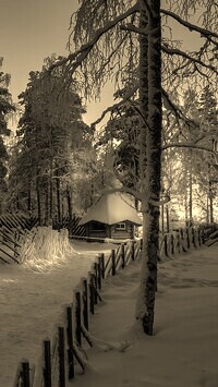 Szary + Sepia