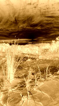 Sepia + Negatyw
