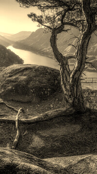 Sepia
