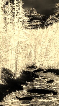 Sepia + Negatyw