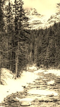 Szary + Sepia