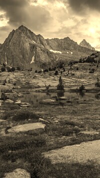 Szary + Sepia