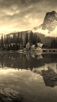 Szary + Sepia