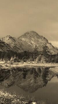 Sepia