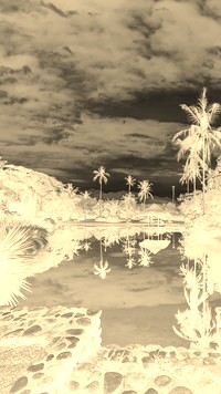 Sepia + Negatyw