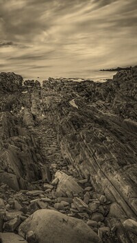 Szary + Sepia