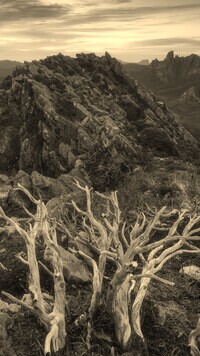 Szary + Sepia
