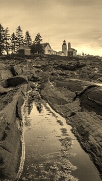 Szary + Sepia