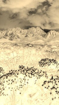 Sepia + Negatyw
