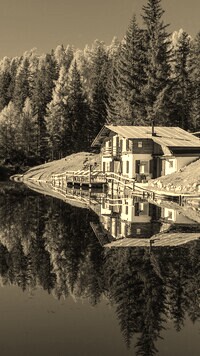 Szary + Sepia