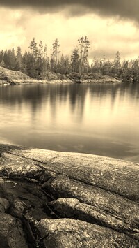 Sepia