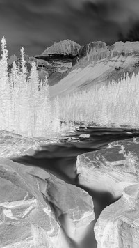 Szary + Negatyw