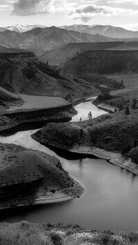 Szary