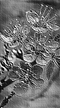 Skamielina