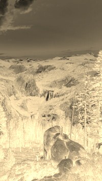 Sepia + Negatyw