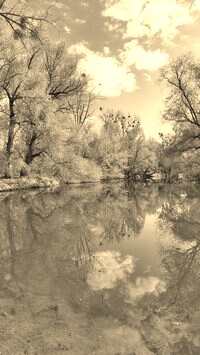 Sepia