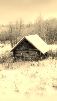 Szary + Sepia