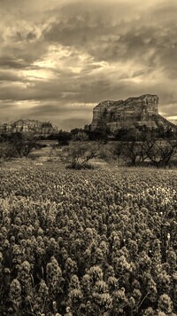 Szary + Sepia