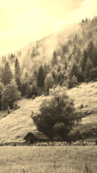 Szary + Sepia