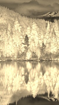 Sepia + Negatyw