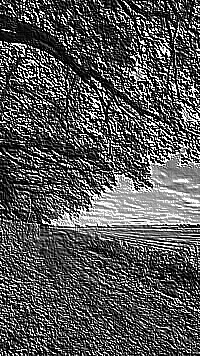 Skamielina