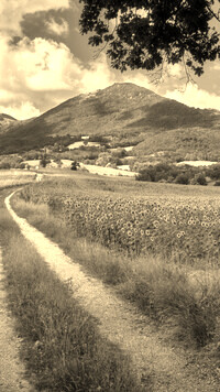 Sepia