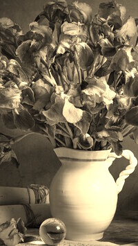 Szary + Sepia