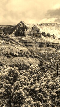 Szary + Sepia