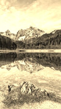 Szary + Sepia