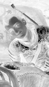 Szary + Negatyw