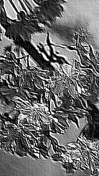Skamielina