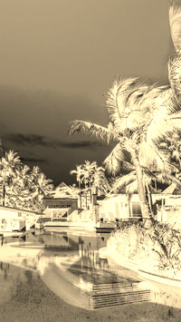 Sepia + Negatyw