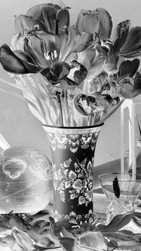 Szary + Negatyw