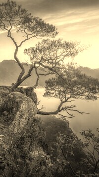 Sepia