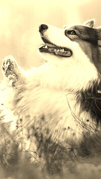 Sepia