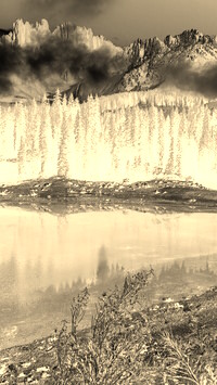 Sepia + Negatyw
