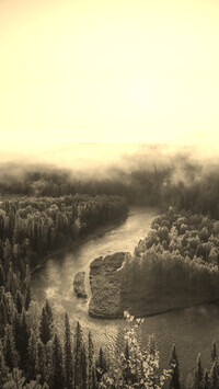 Szary + Sepia