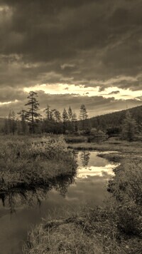 Sepia