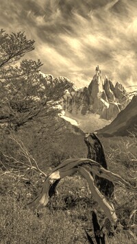 Sepia