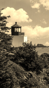 Szary + Sepia