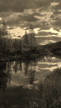 Sepia