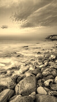Szary + Sepia
