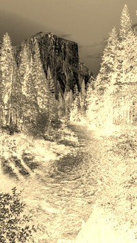 Sepia + Negatyw