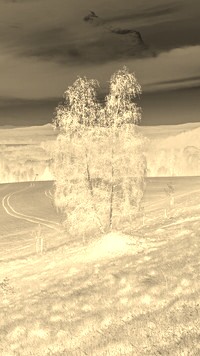 Sepia + Negatyw