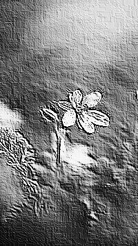 Skamielina