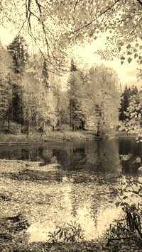 Sepia