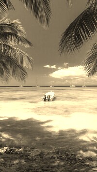 Szary + Sepia